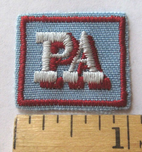 Retired girl scout cpa - scout, cadette